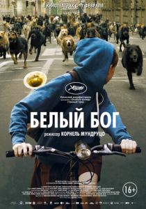 фильм Белый Бог (2014) смотреть фильм Белый Бог (2014)