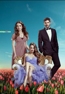 сериал Пора тюльпанов (2010)