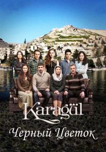сериал Чёрный цветок (2013)