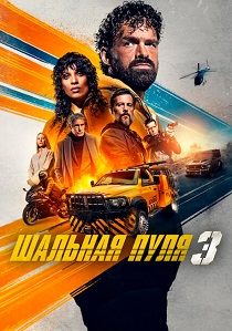 Шальная пуля 3 (2025) онлайн