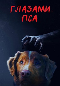 Глазами пса (2025)