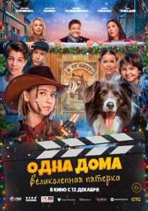 фильм Одна дома: Великолепная пятерка (2024)